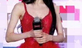 娱乐圈内爆料姐妹是谁,揭秘神秘姐妹花背后的故事